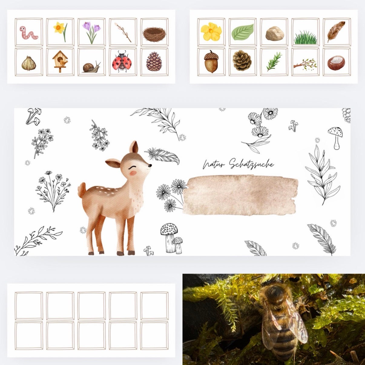 Natur-Suchspiel mit Eierkarton | Farben | Naturschätze | Printable | Digitale Datei