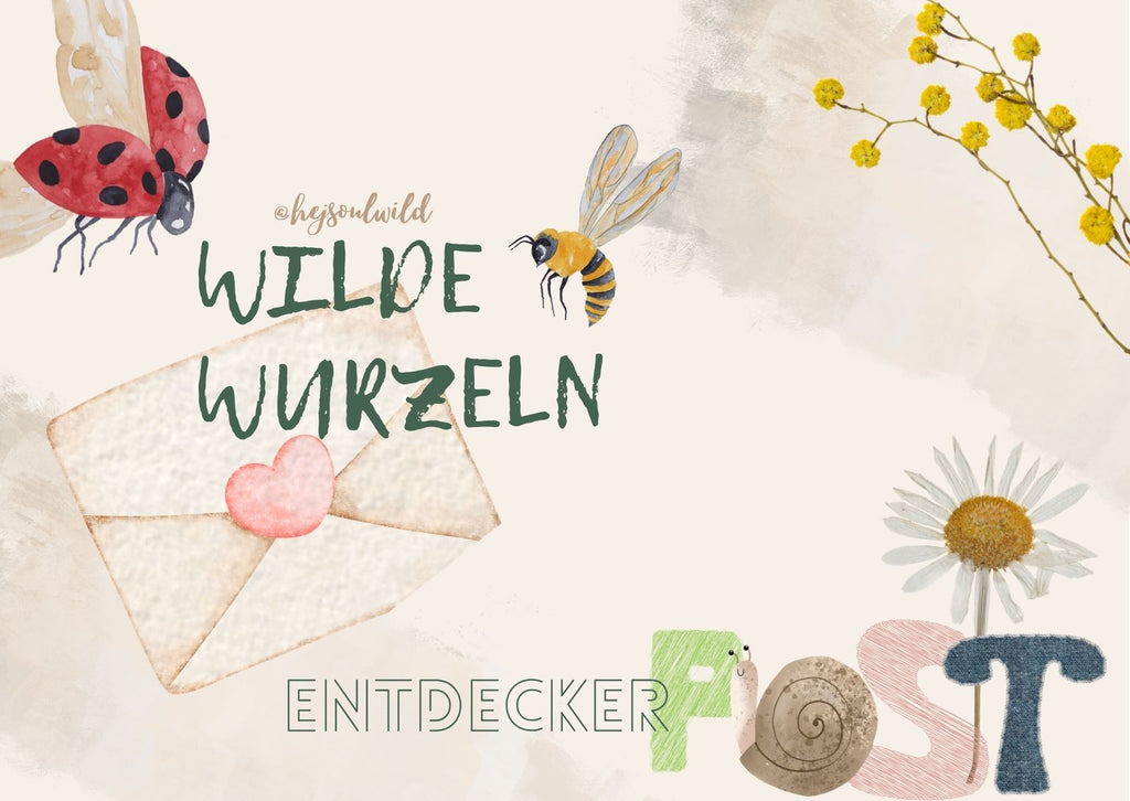 Wilde Wurzeln – Deine Naturpost  Snailmail Club Kids| 3- Monats-Edition |