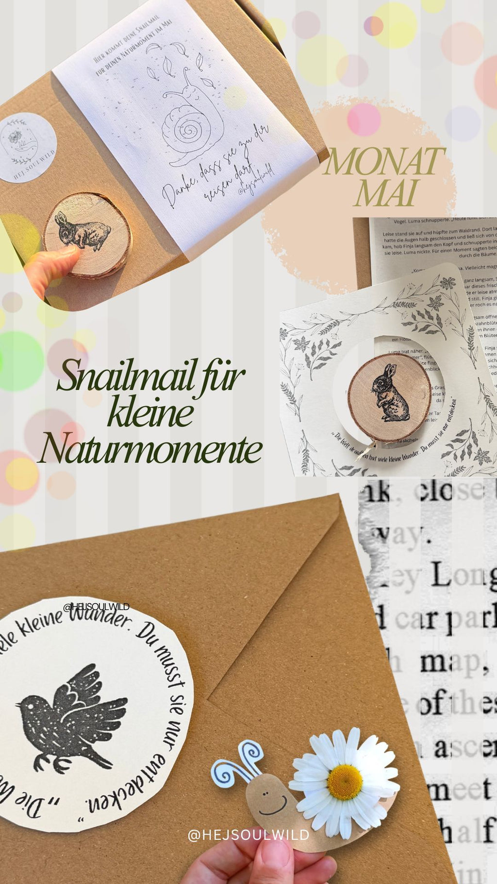 Wilde Wurzeln – Deine Naturpost  Snailmail Club Kids| 3- Monats-Edition |