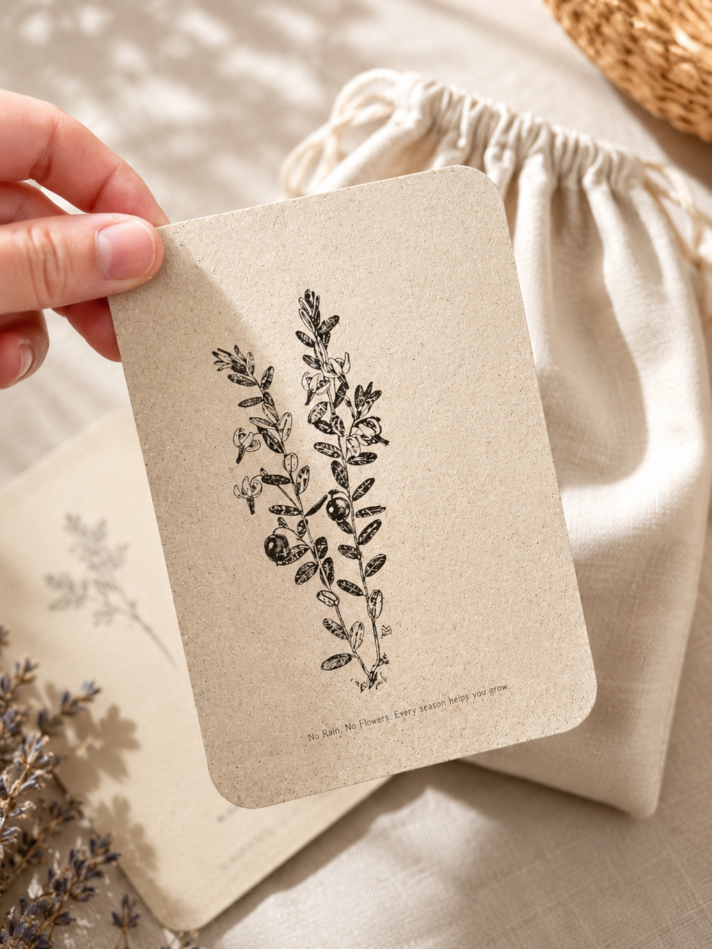 Postkarten Adventskalender | 24 Kraftpapier Postkarten | Hygge Weihnachten | Botanische Illustrationen | Achtsamkeitskalender | Geschenk
