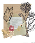 Wilde Wurzeln – Naturpost | Achtsame Snailmail für Frauen | Briefclub 📩
