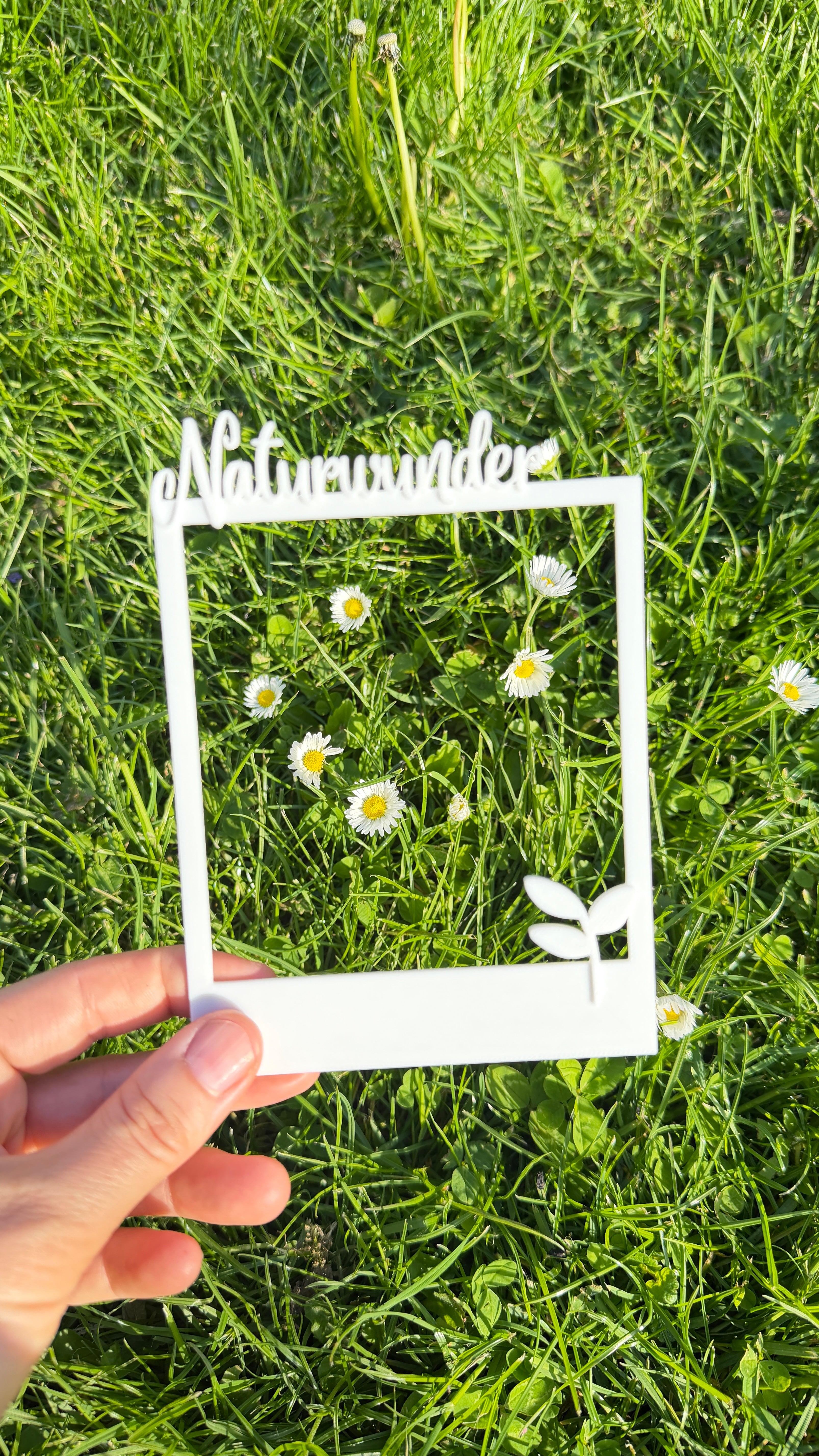 „Naturwunder“ | Polaroid Bilderrahmen für Erinnerungen