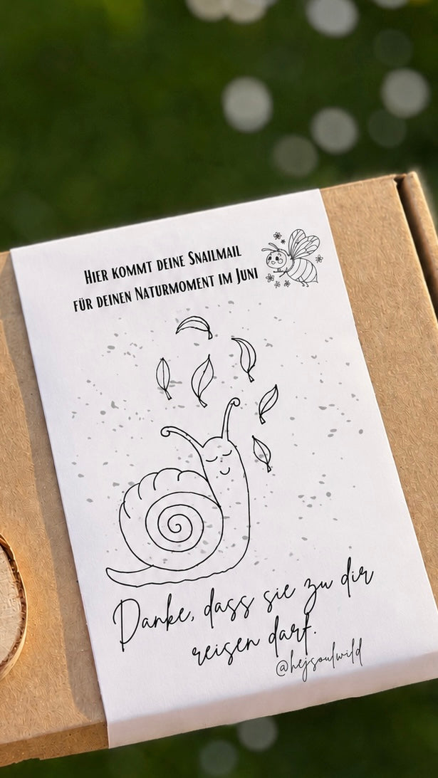 Wilde Wurzeln – Deine Naturpost  Snailmail Club Kids| 3- Monats-Edition |