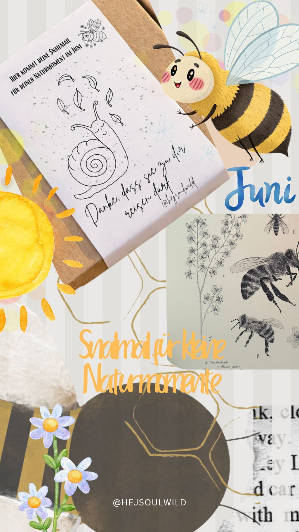 Wilde Wurzeln – Deine Naturpost  Snailmail Club Kids| 3- Monats-Edition |
