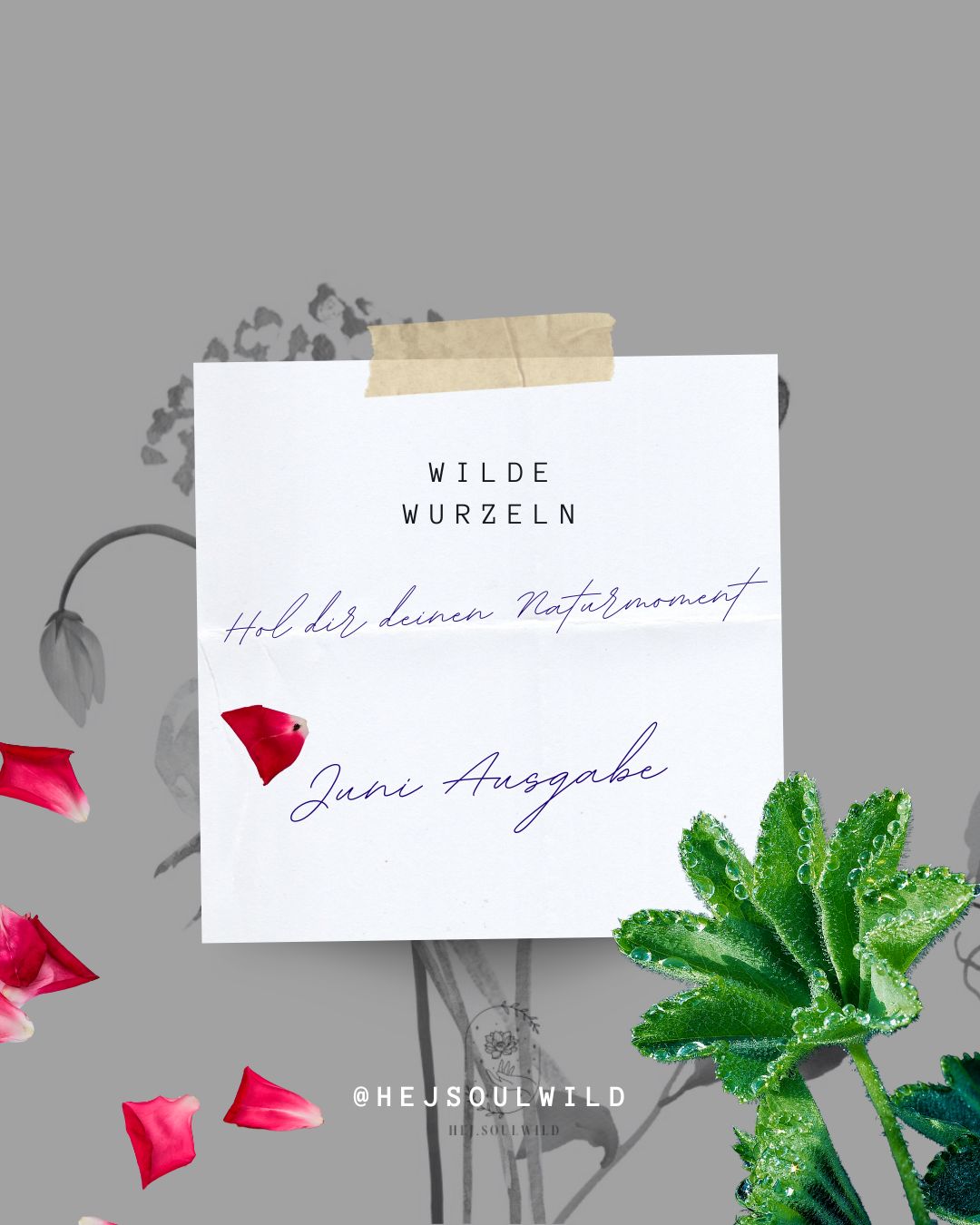 Wilde Wurzel - Deine Naturpost | - Ausgabe Juni [SNAILMAILCLUB]