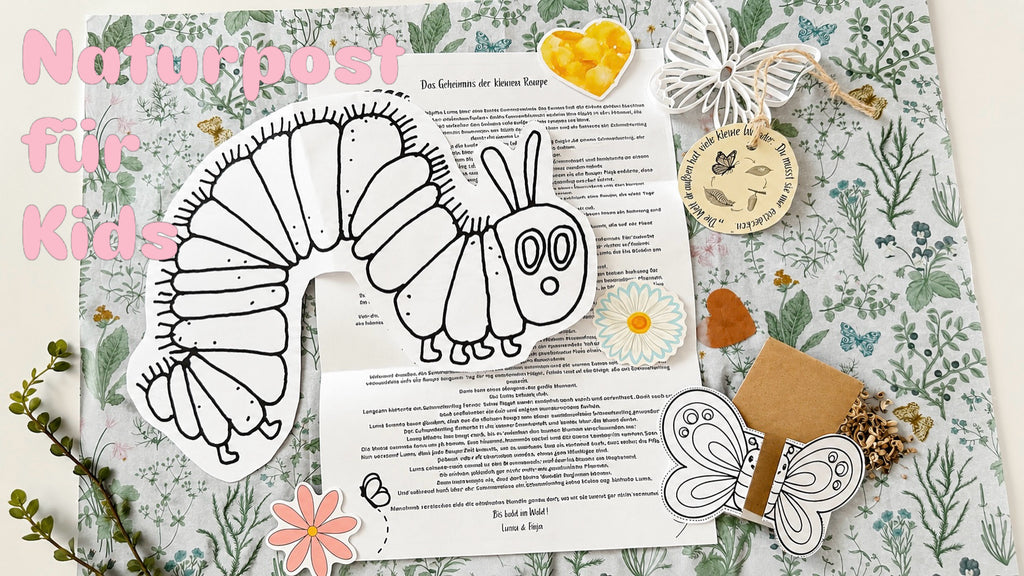Naturpost für Kinder | Waldpost | Entdeckerpost | KREATIVBOX für naturverbundene Kinder | Basteln, Naturwissen & Geschichten BOX
